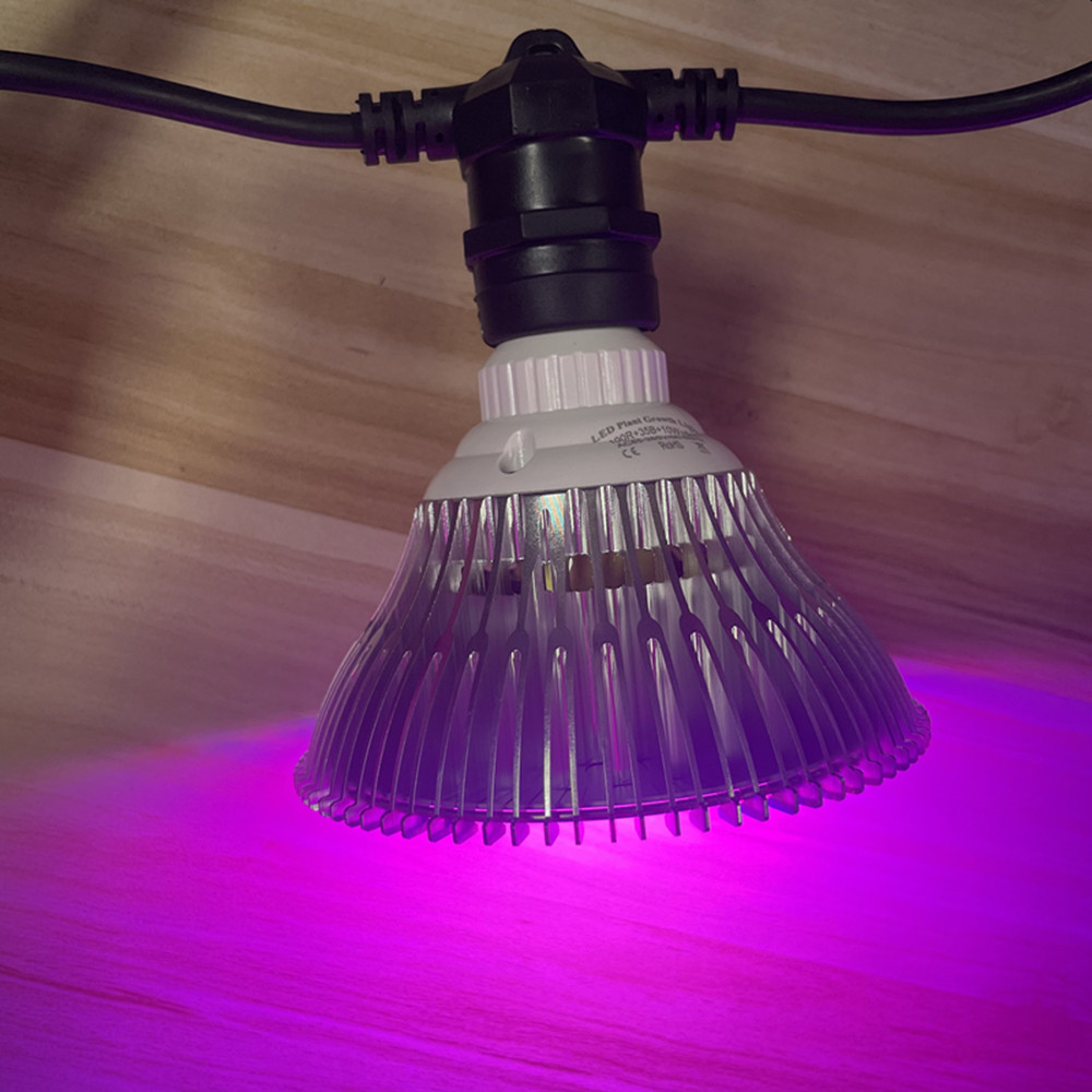 10 メートルケーブル LED ストリング商用グレード防水  - Outdoor Lighting Effects のレビューと価格